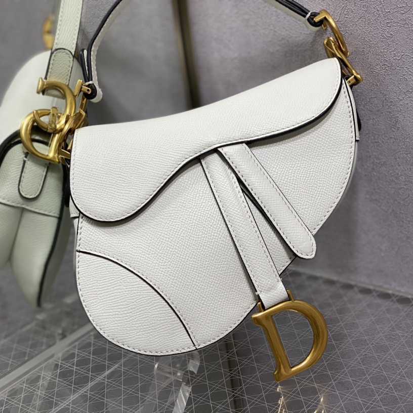 Dior Saddle Bag    19.5cm - DesignerGu