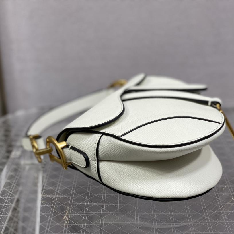 Dior Saddle Bag    19.5cm - DesignerGu