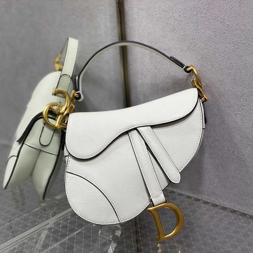 Dior Saddle Bag    19.5cm - DesignerGu