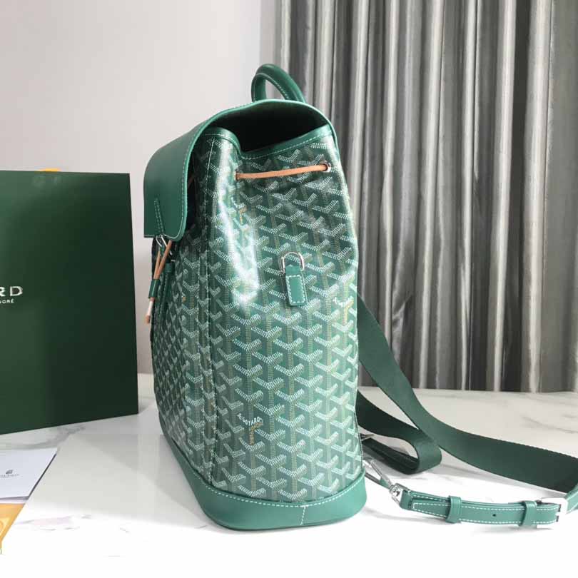 Goyard Alpin MM Backpack - DesignerGu