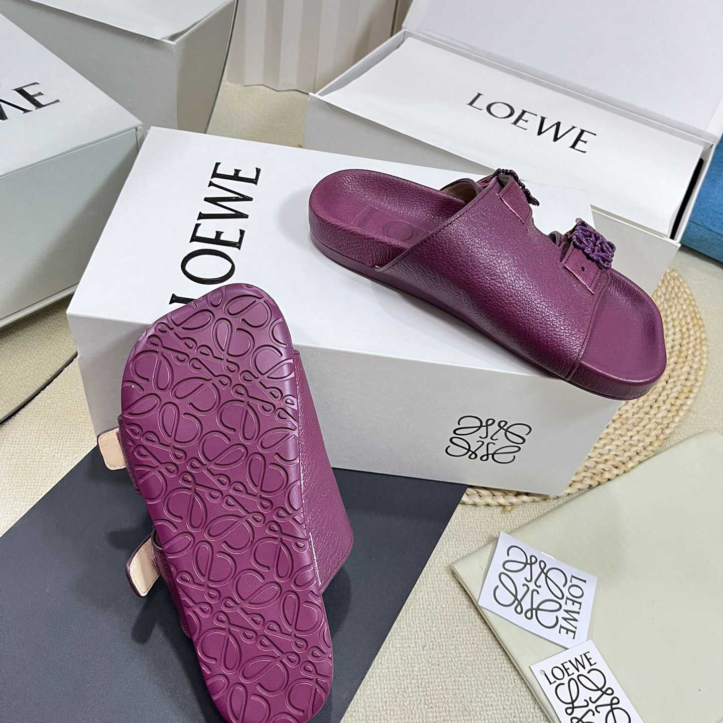 Loewe Ease slide In Goatskin - DesignerGu