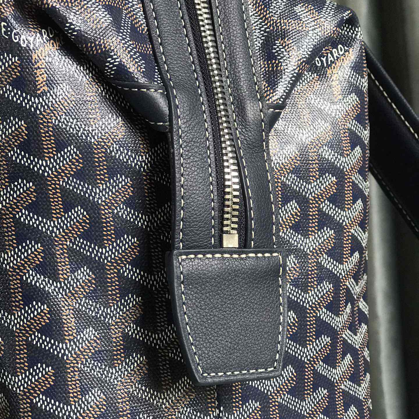 Goyard Cisalpin Backpack - DesignerGu