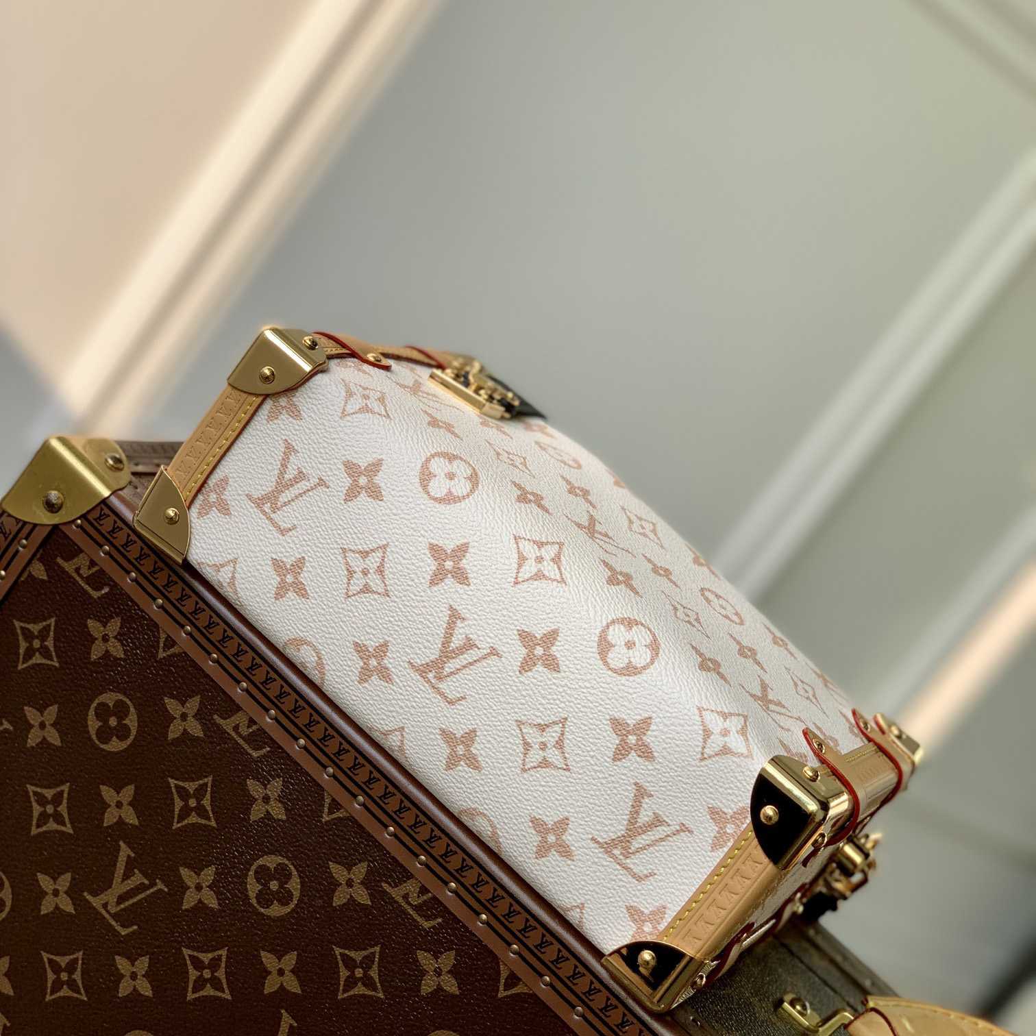 Louis Vuitton Side Trunk MM   M46907 - DesignerGu