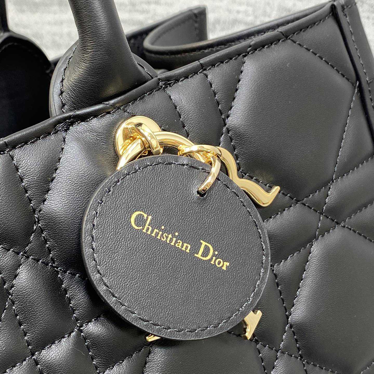 Dior Medium Dior Book Tote - DesignerGu