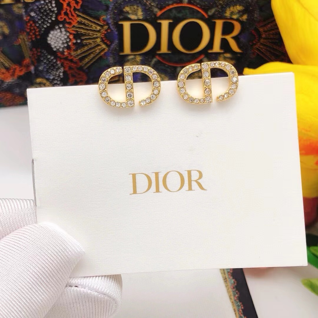 Dior Earrings - DesignerGu