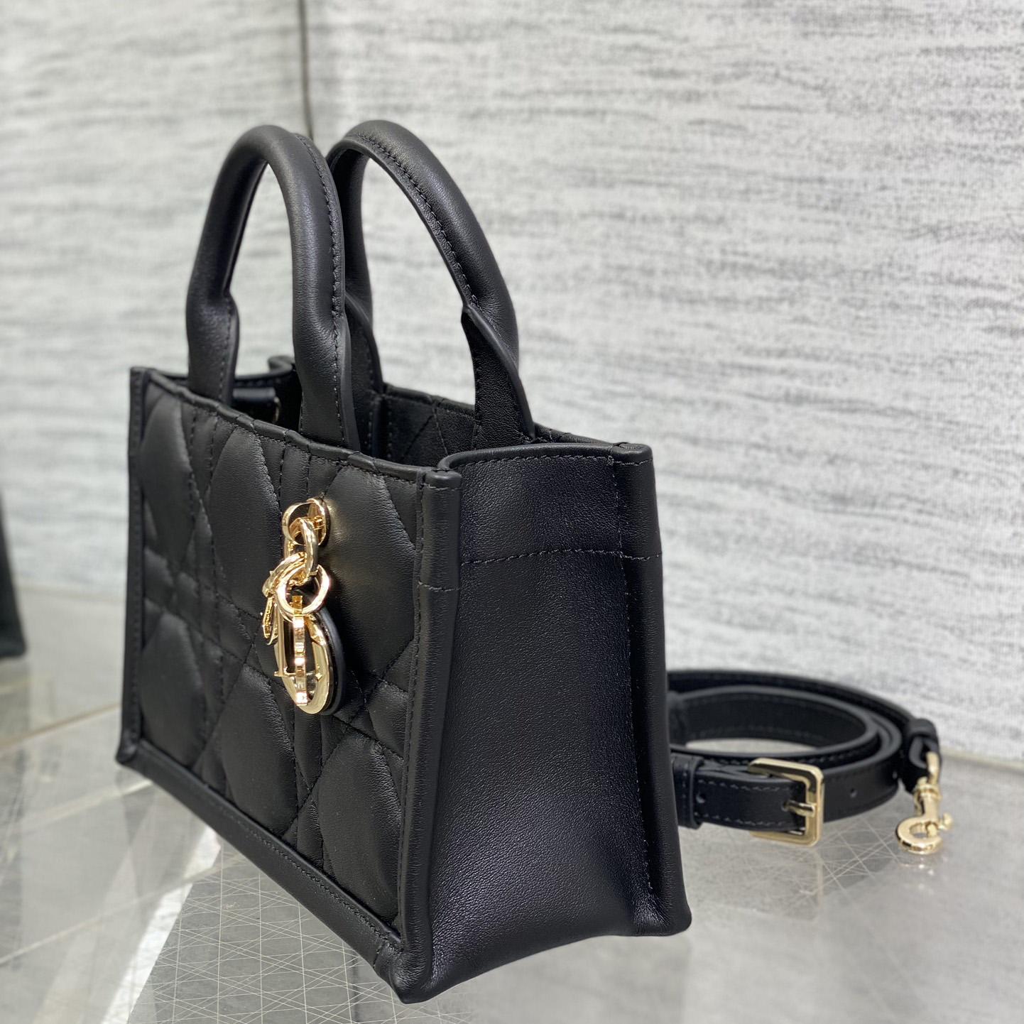 Dior Mini Dior Book Tote - DesignerGu