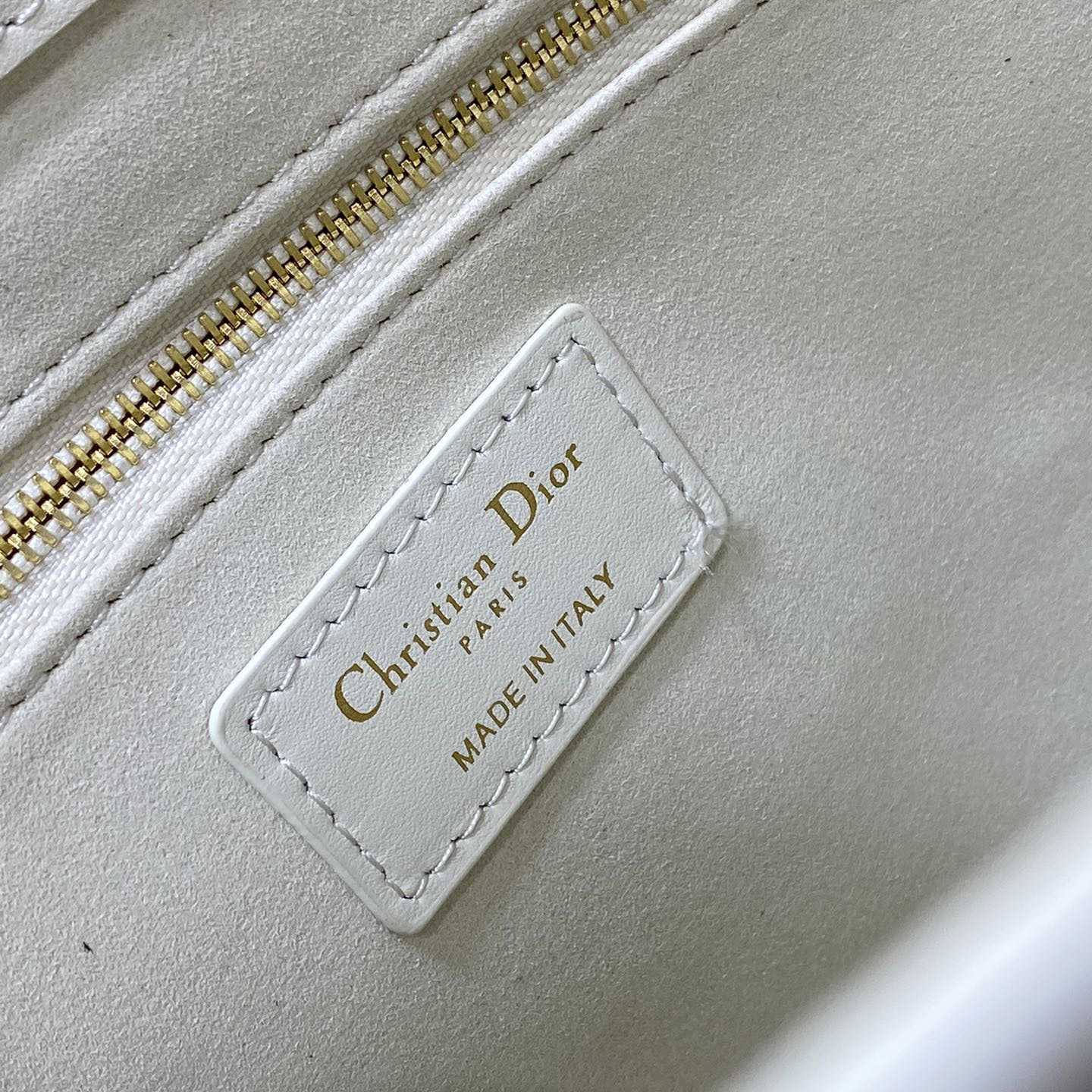 Dior Small Dior Book Tote - DesignerGu