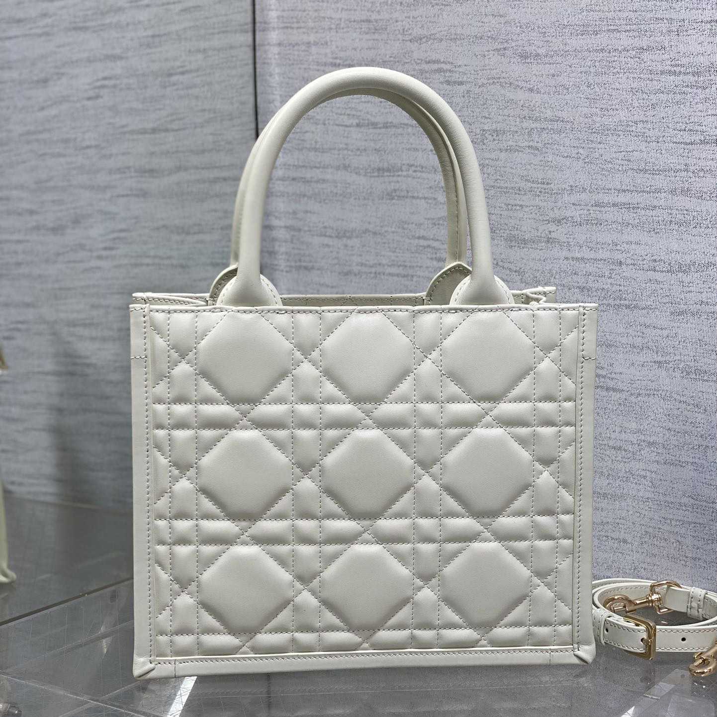 Dior Small Dior Book Tote - DesignerGu