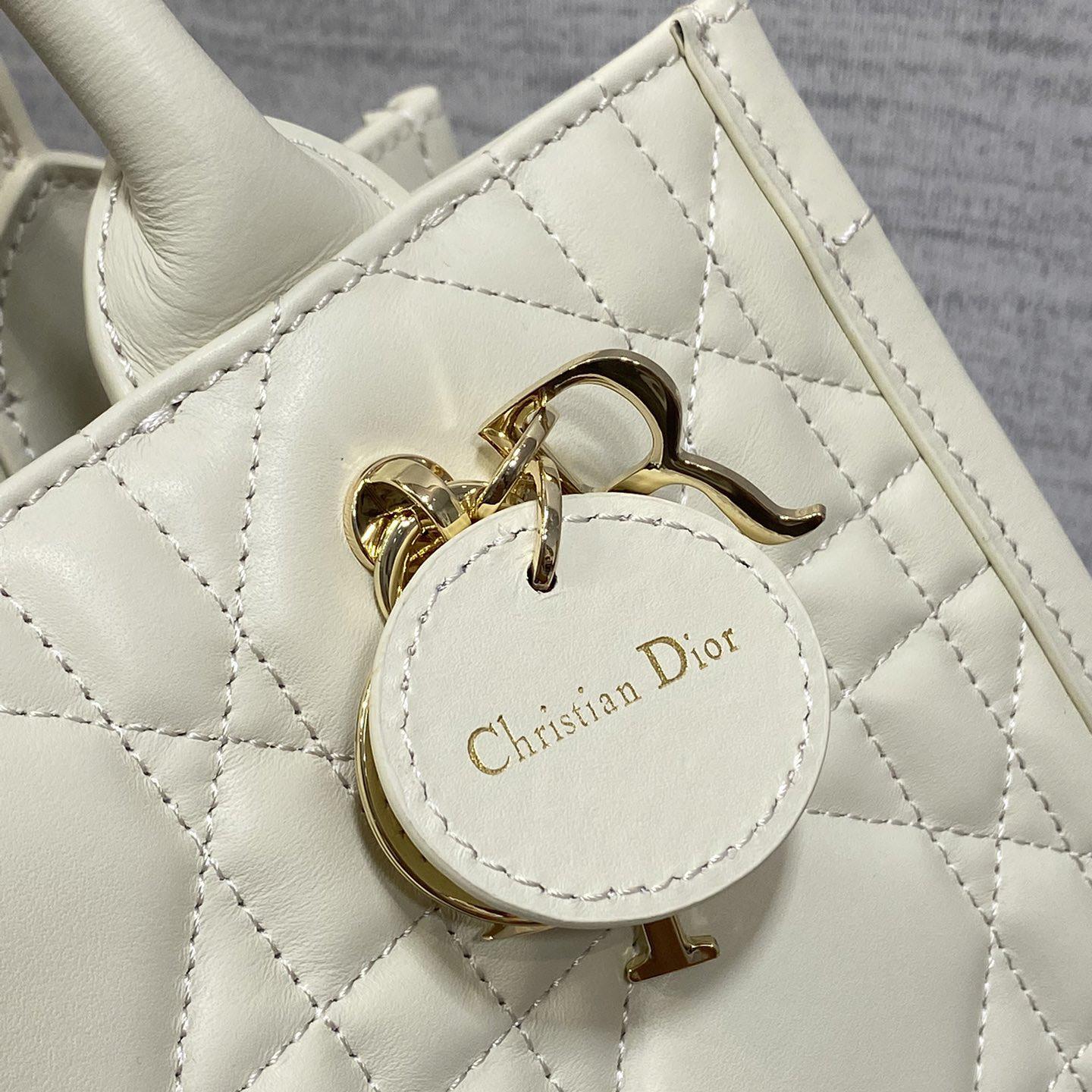 Dior Small Dior Book Tote - DesignerGu