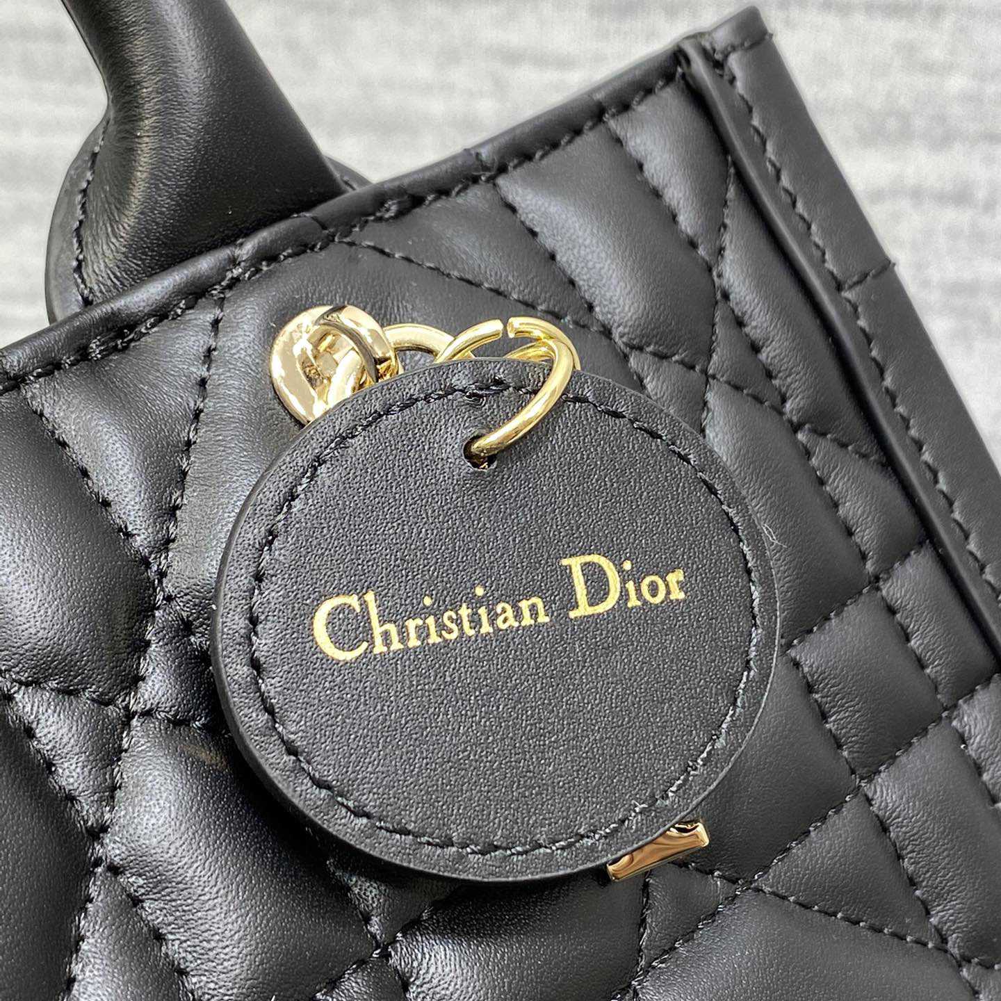 Dior Small Dior Book Tote - DesignerGu