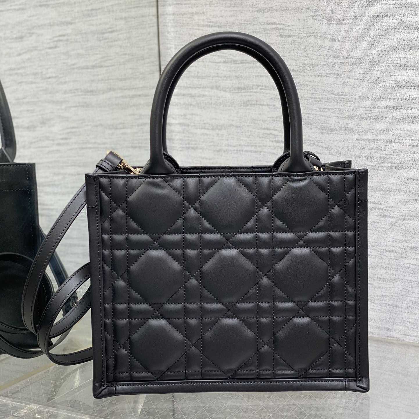 Dior Small Dior Book Tote - DesignerGu