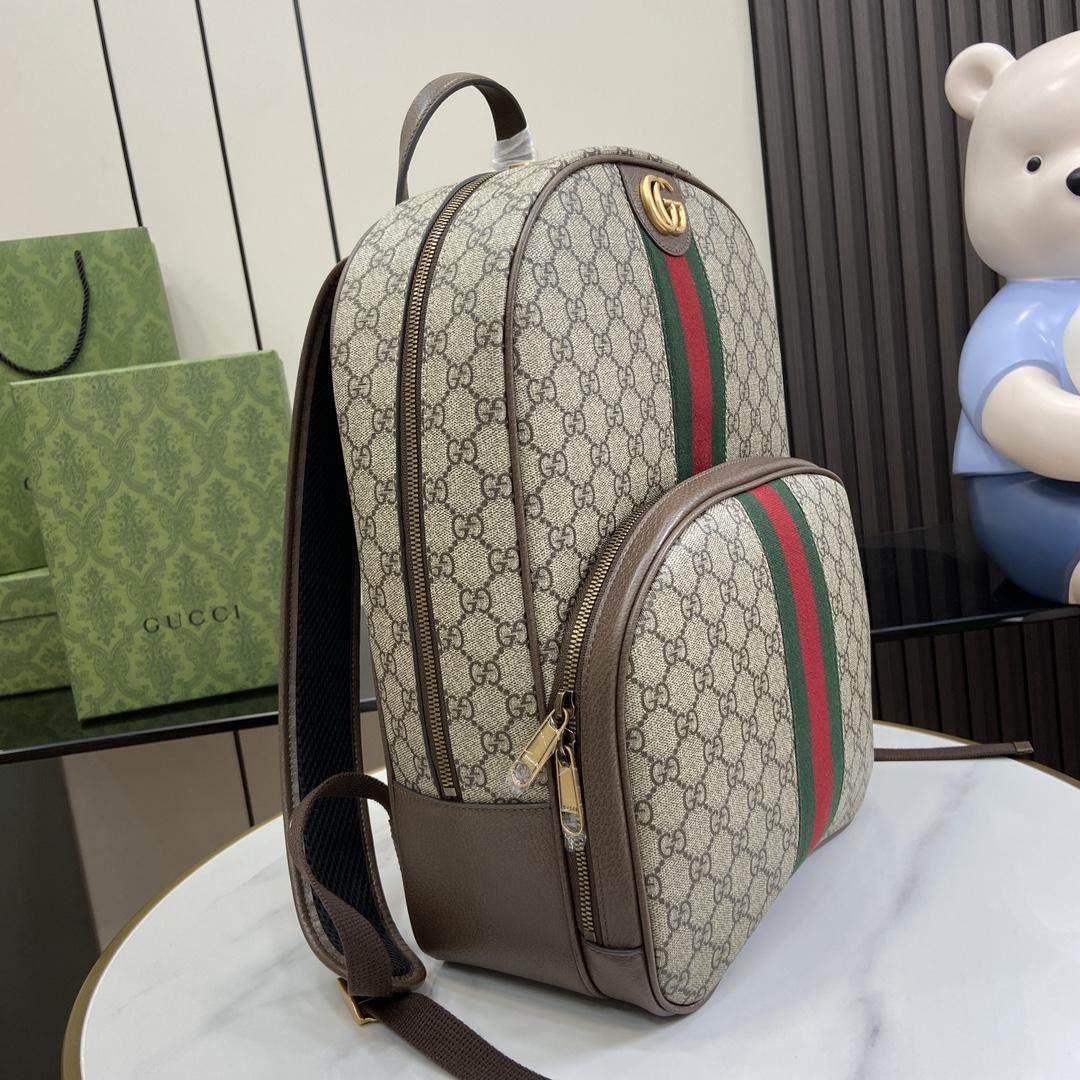 Gucci Ophidia GG Backpack - DesignerGu