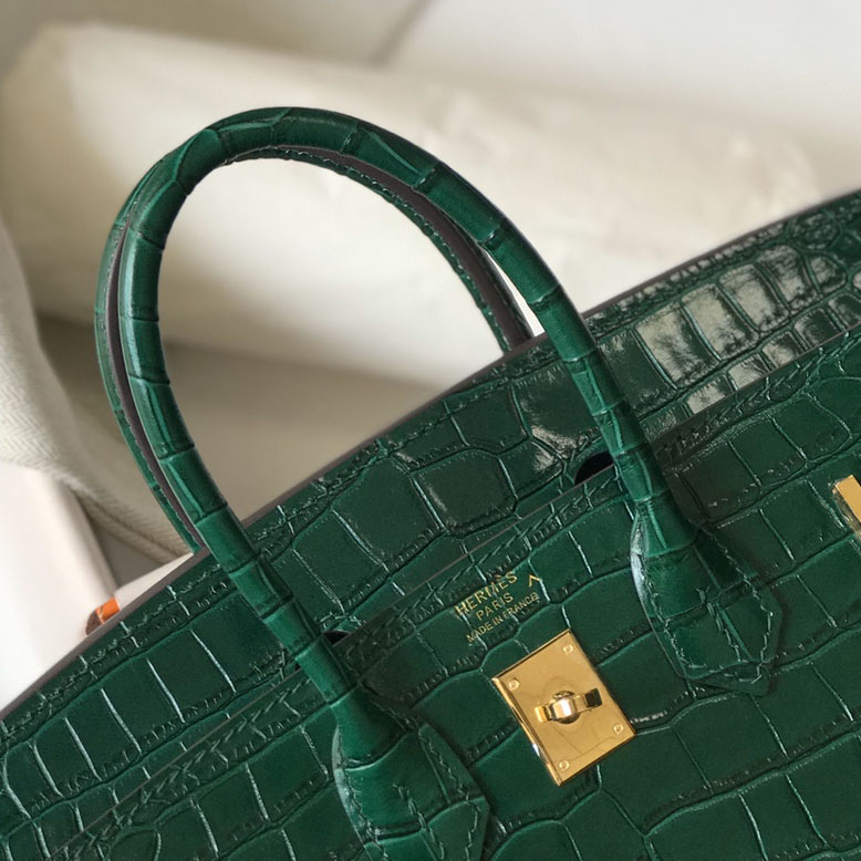 Hermes Birkin 25 Emeraude Porosus Lisse Shiny Gold Hardware (25-20-13cm) - DesignerGu