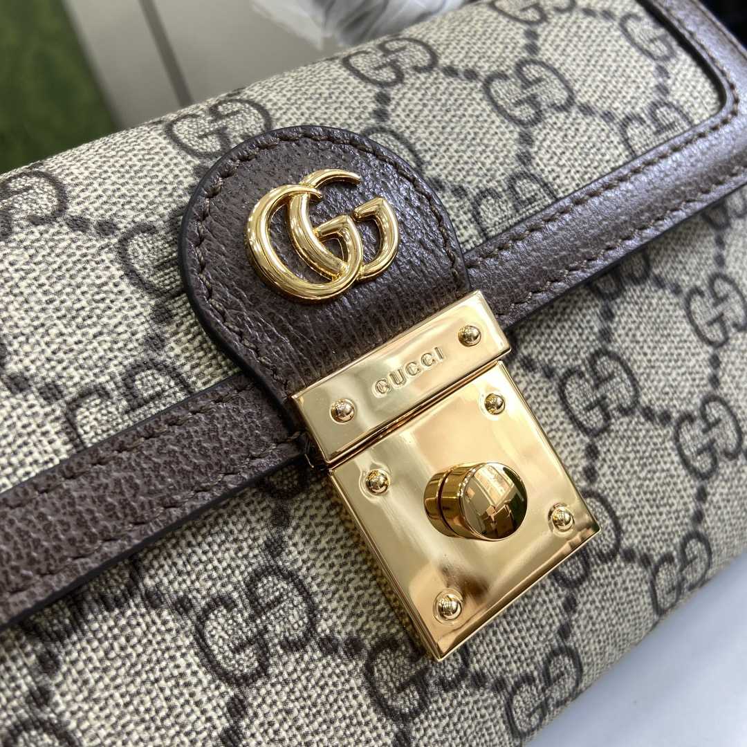 Gucci Ophidia Mini Bag - DesignerGu