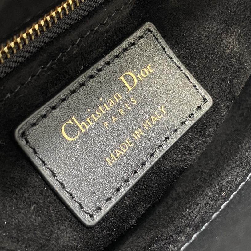 Dior Mini Lady Dior Bag   - DesignerGu