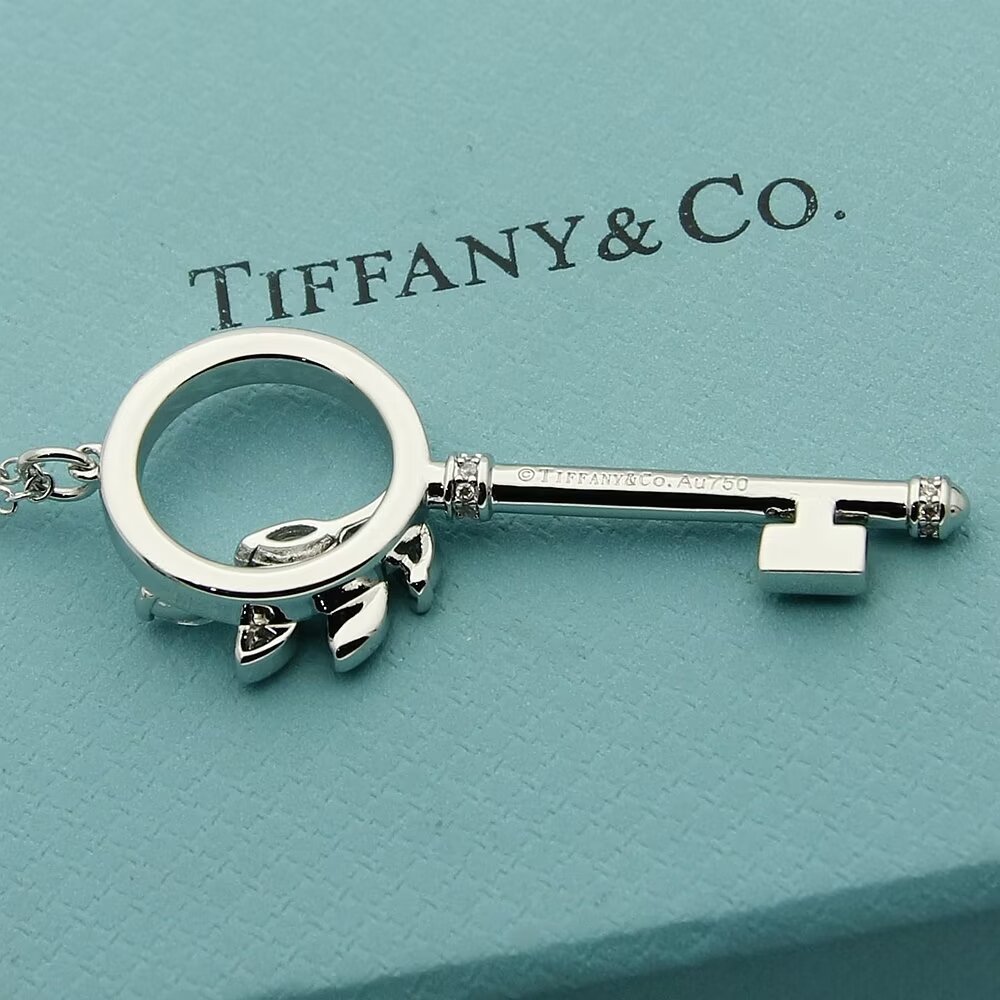 Tiffany & Co.  Diamond Vine Circle Key In Platinum - DesignerGu