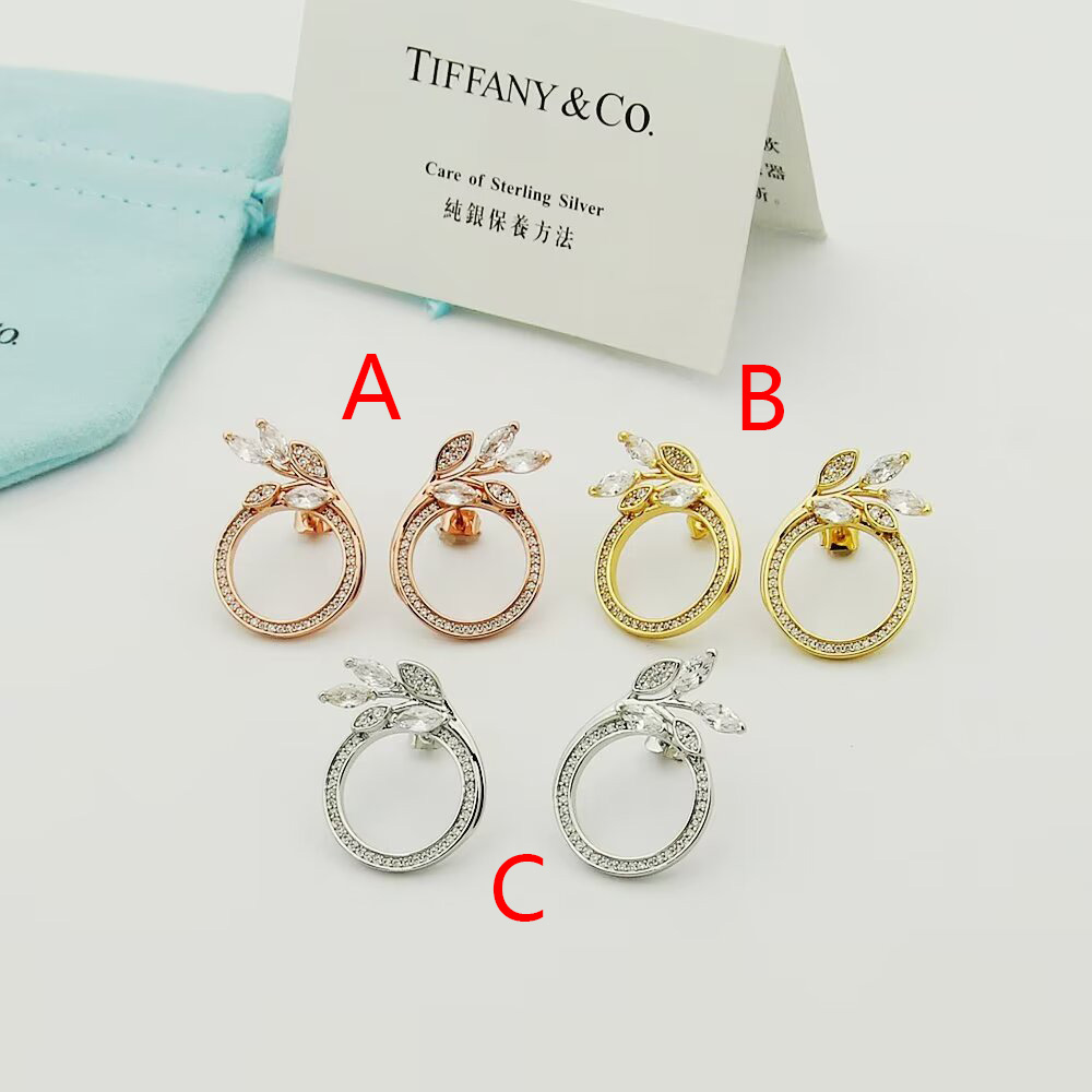 Tiffany & Co. Diamond Vine Circle Earrings In Platinum - DesignerGu