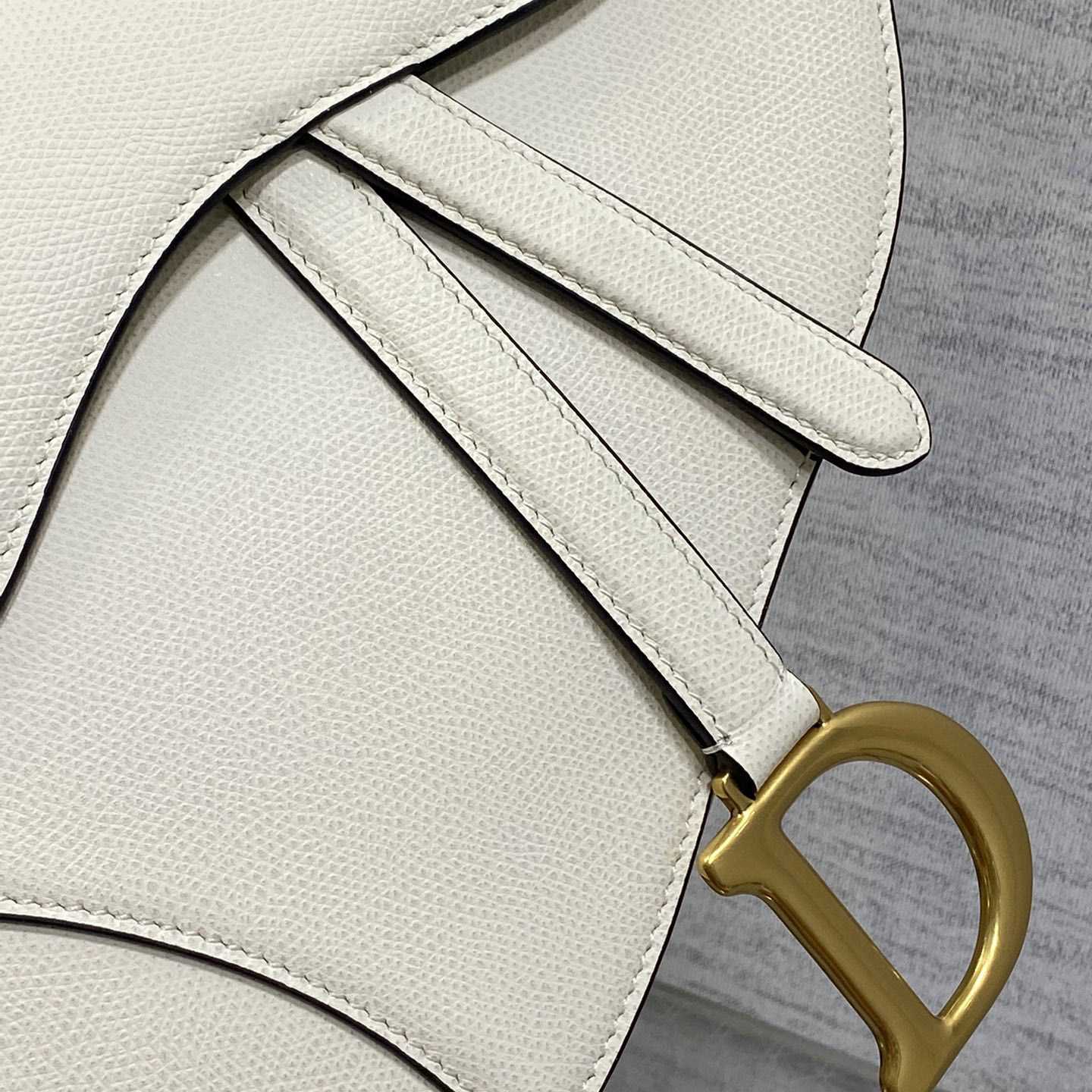 Dior Saddle Bag (24×6×18cm) - DesignerGu