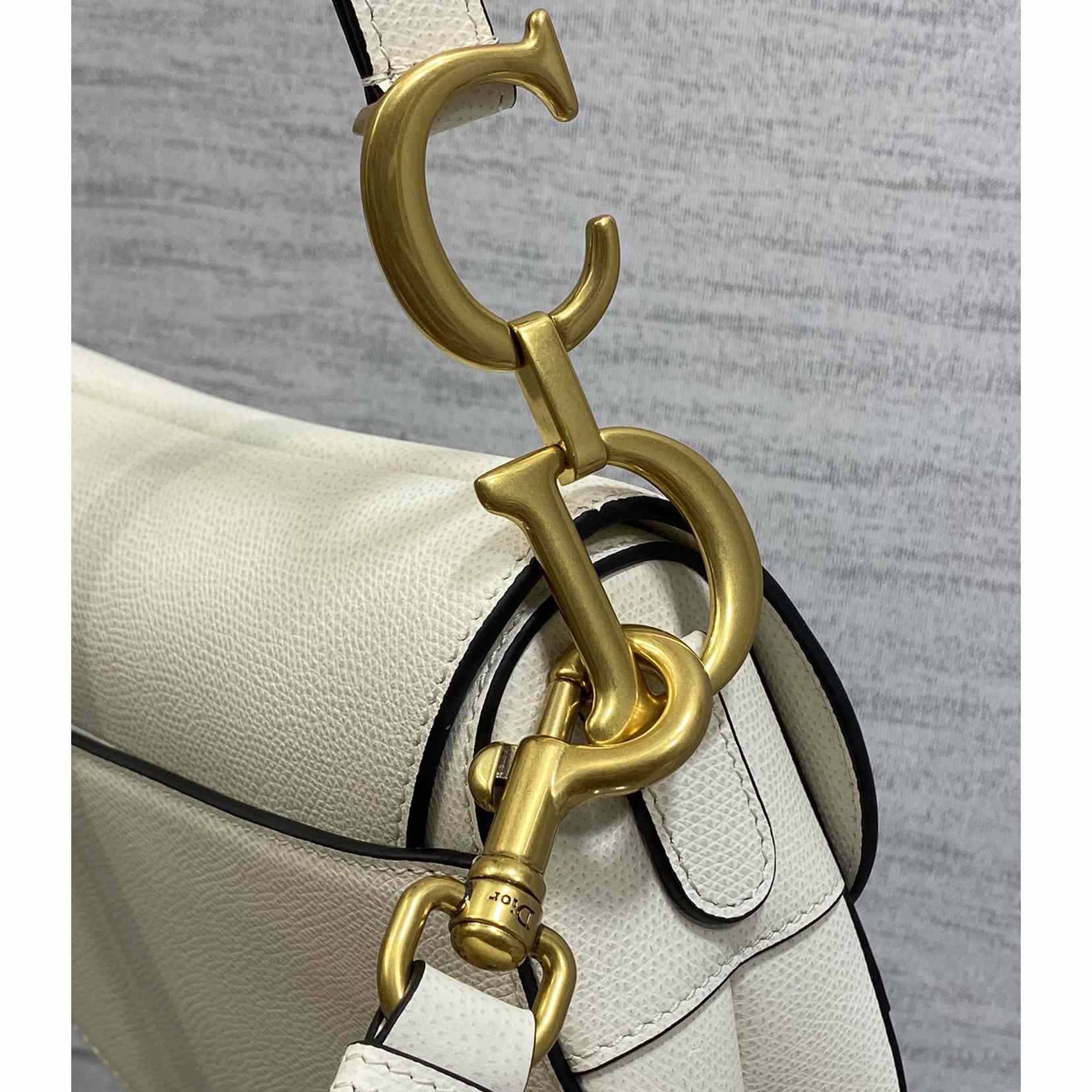 Dior Saddle Bag (24×6×18cm) - DesignerGu