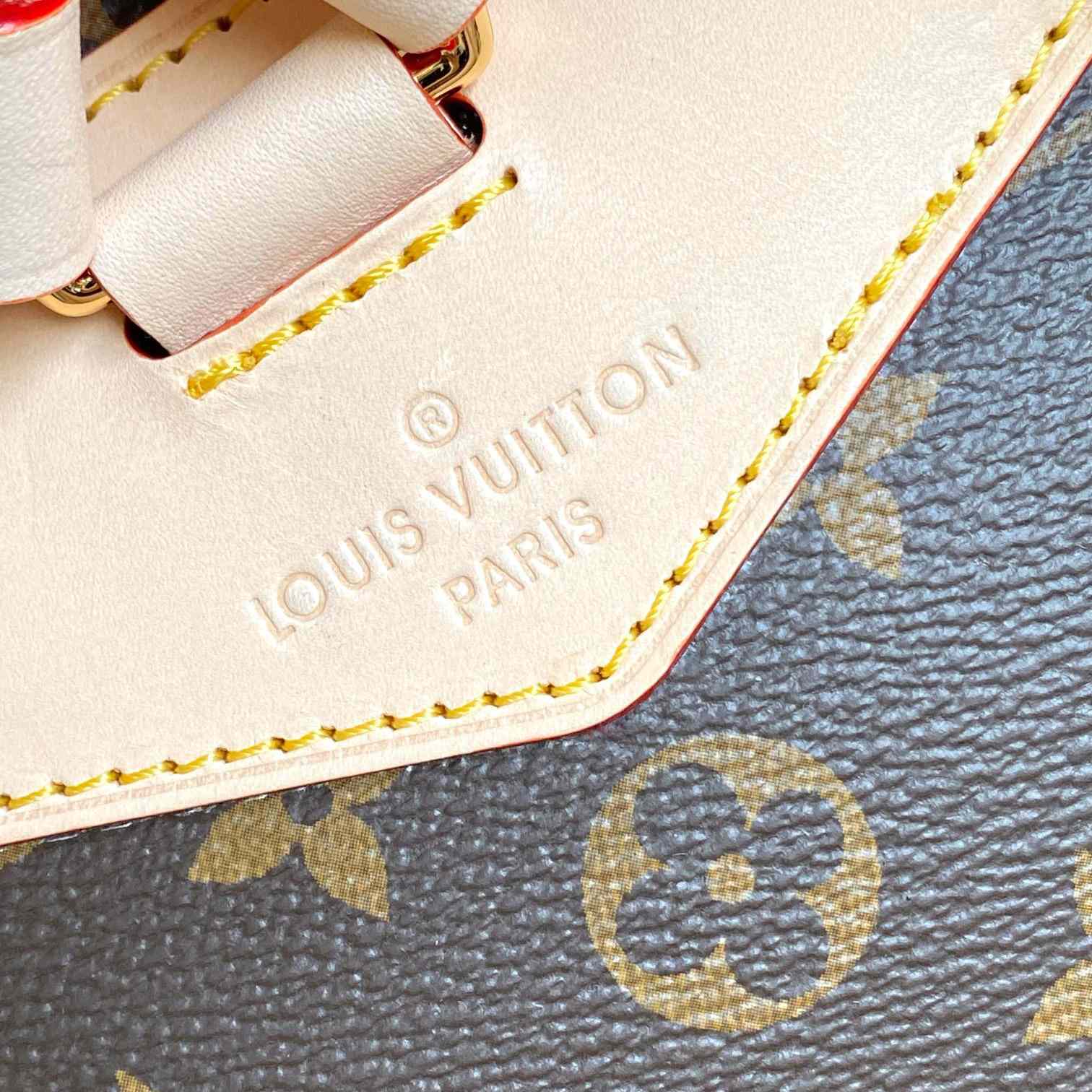 Louis Vuitton Montsouris MM  M11197 - DesignerGu