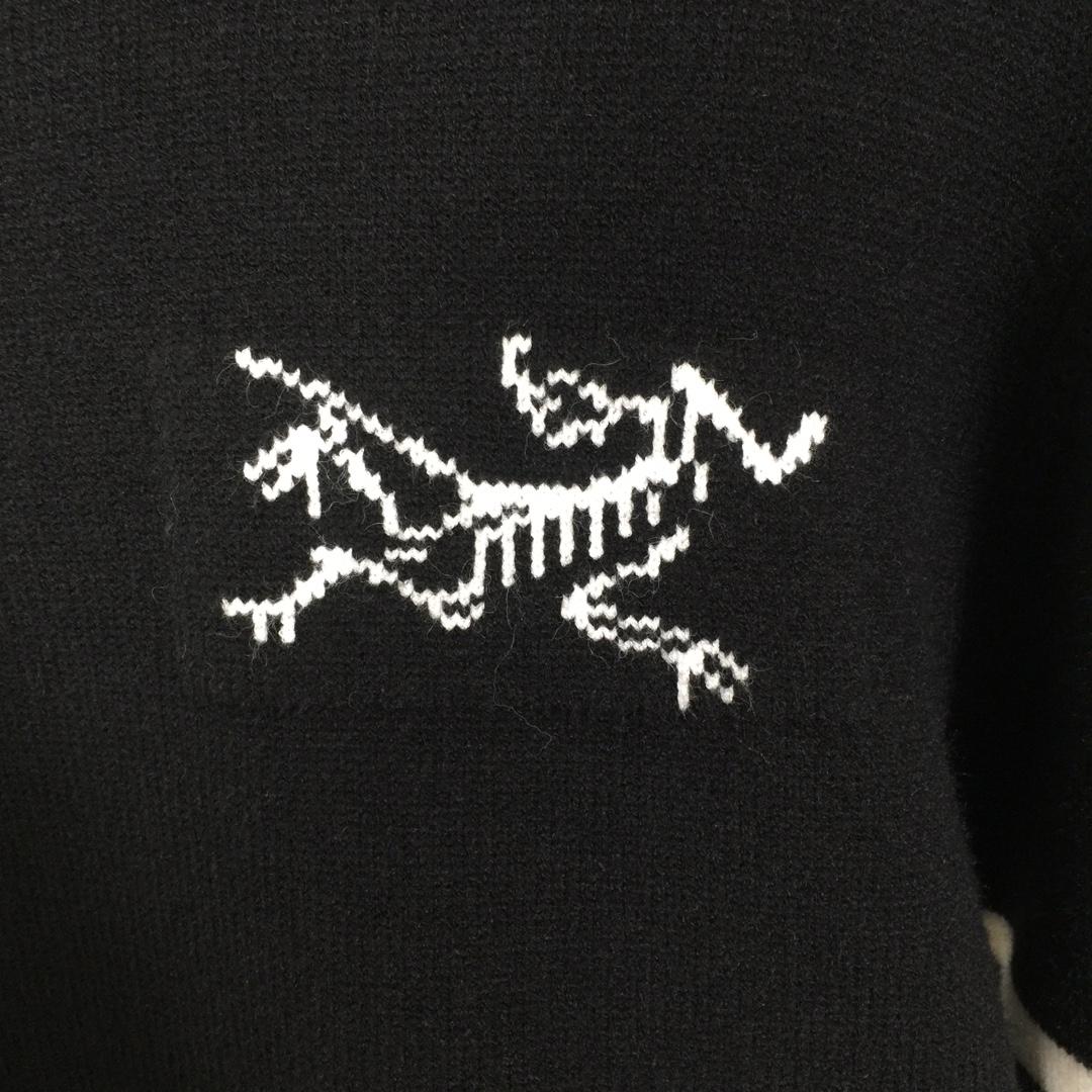 Arc'teryx Logo Sweater - DesignerGu