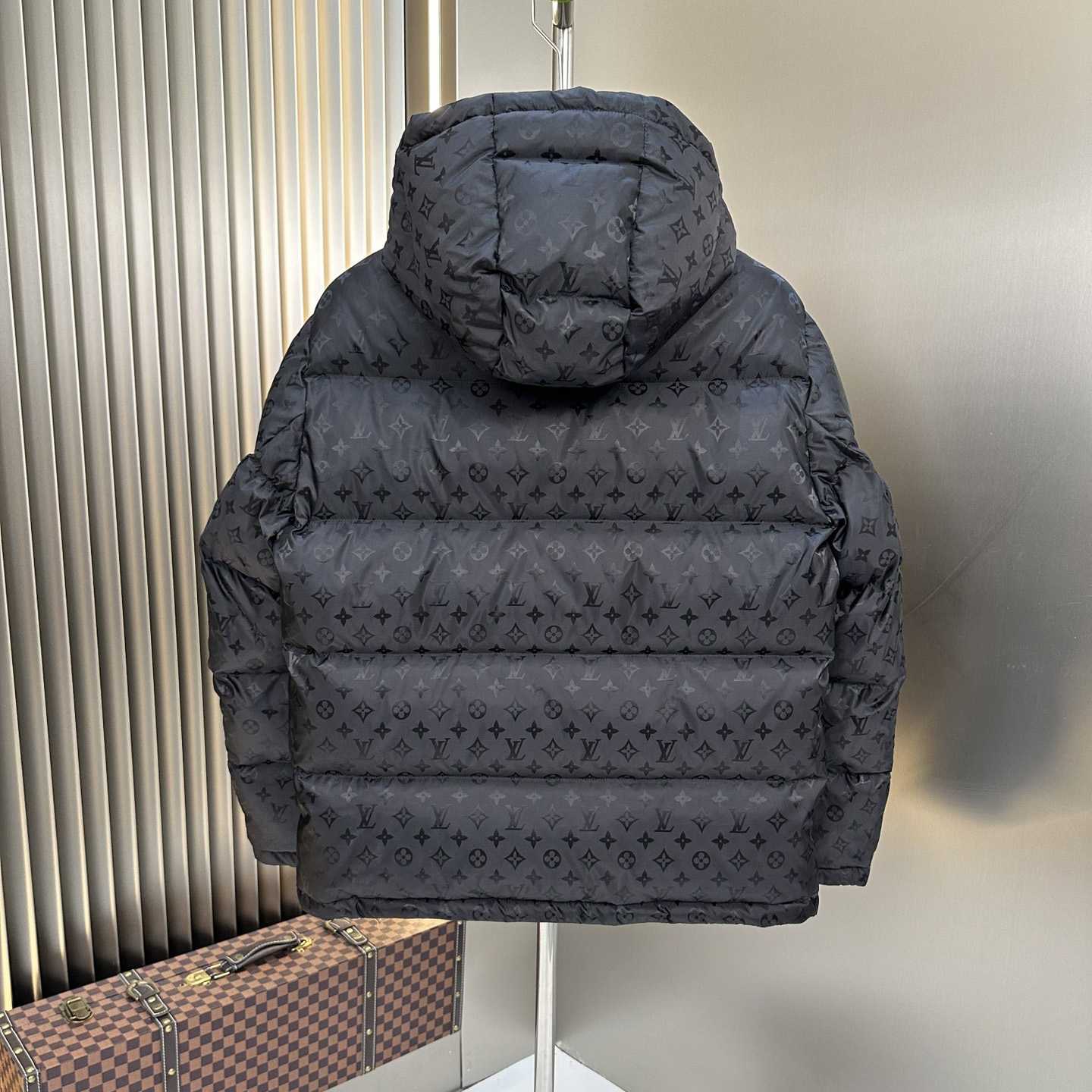 Louis Vuitton Monogram Down Jacket - DesignerGu