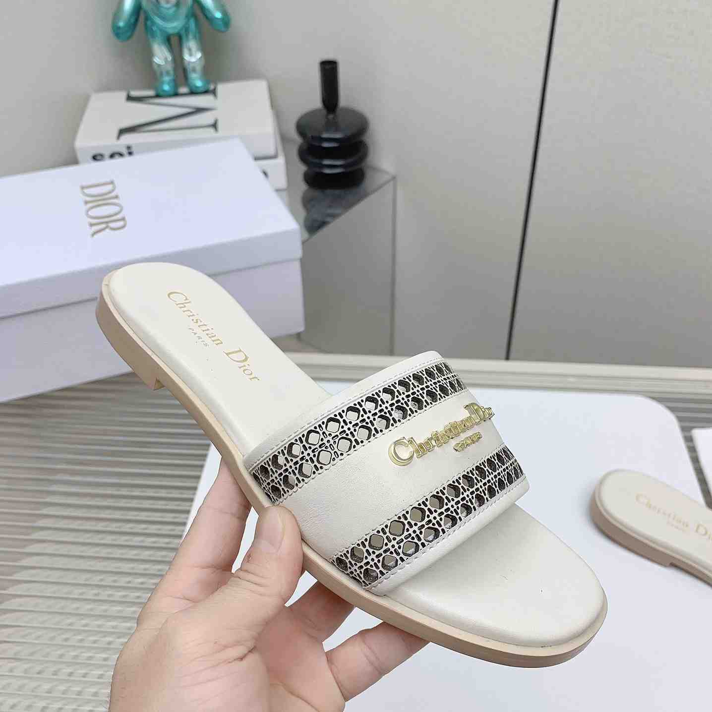 Dior D-Lane Slide  - DesignerGu