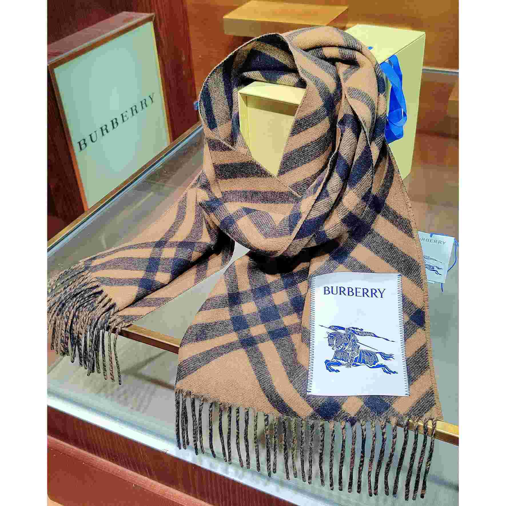 Burberry Check Cashmere Scarf - DesignerGu