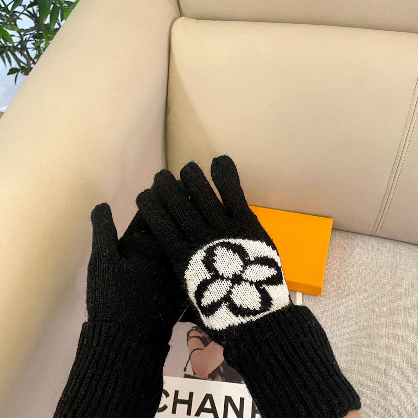 Louis Vuitton LV Medallion Gloves - DesignerGu