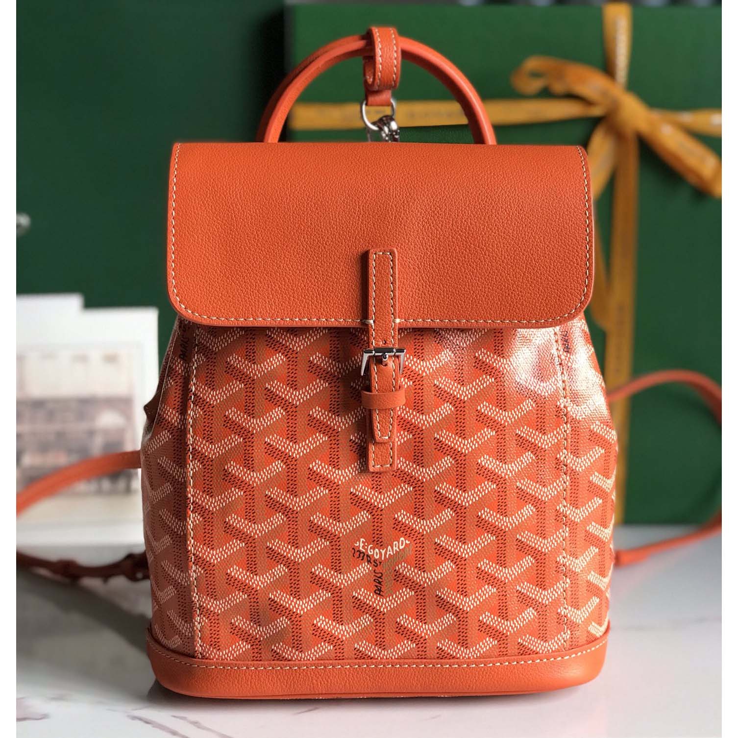 Goyard Alpin Mini Backpack - DesignerGu