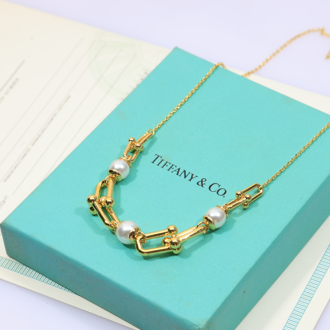 Tiffany & Co. Link Necklace - DesignerGu