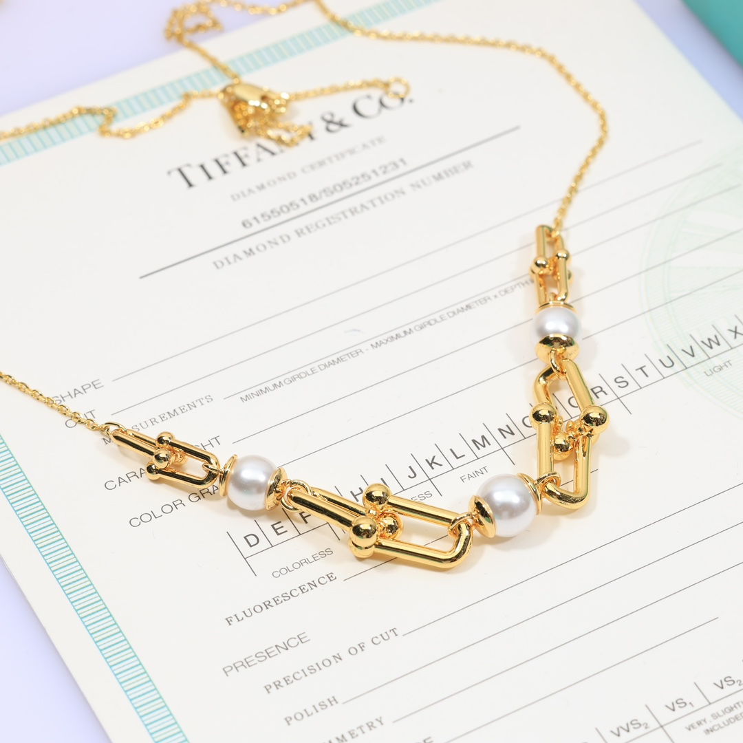 Tiffany & Co. Link Necklace - DesignerGu