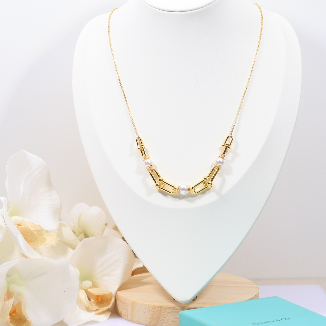 Tiffany & Co. Link Necklace - DesignerGu