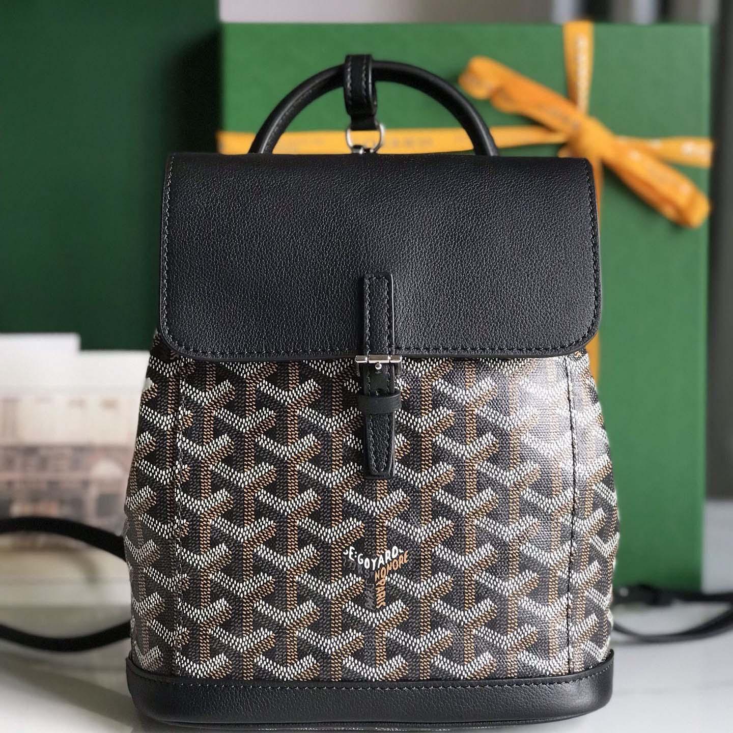 Goyard Alpin Mini Backpack - DesignerGu