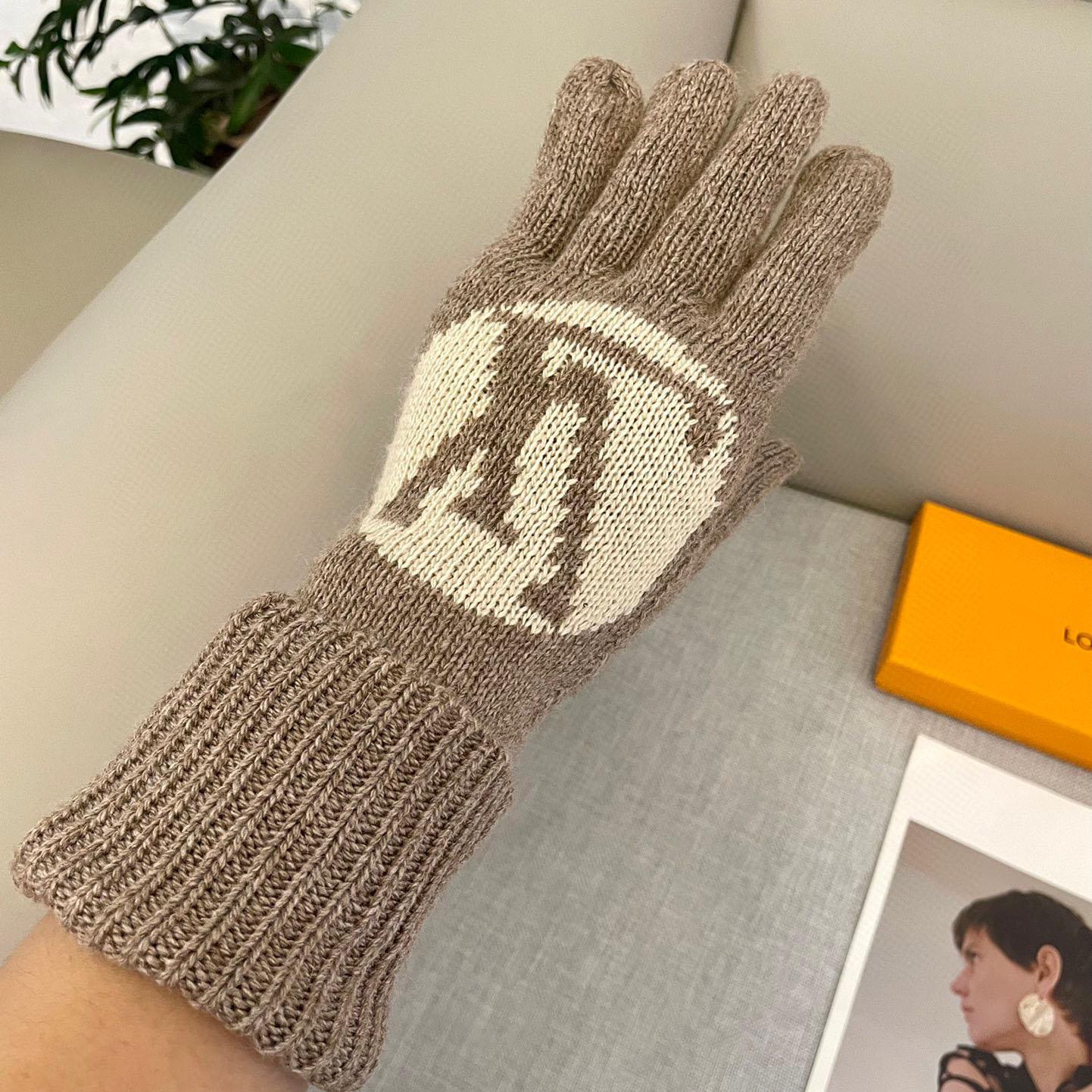 Louis Vuitton LV Medallion Gloves - DesignerGu