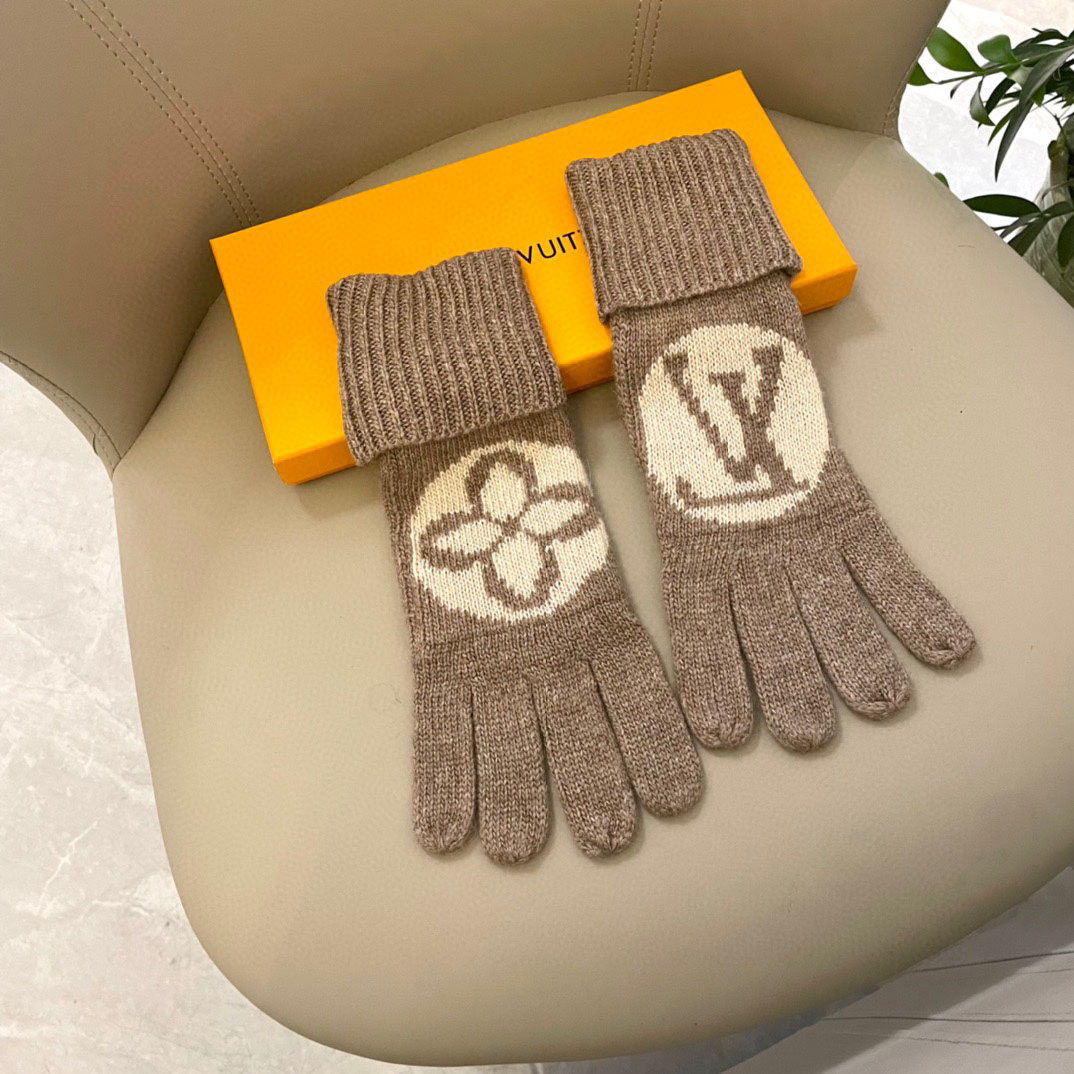 Louis Vuitton LV Medallion Gloves - DesignerGu