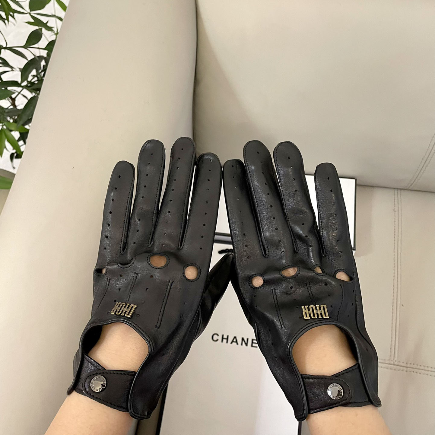 Dior Gloves  - DesignerGu