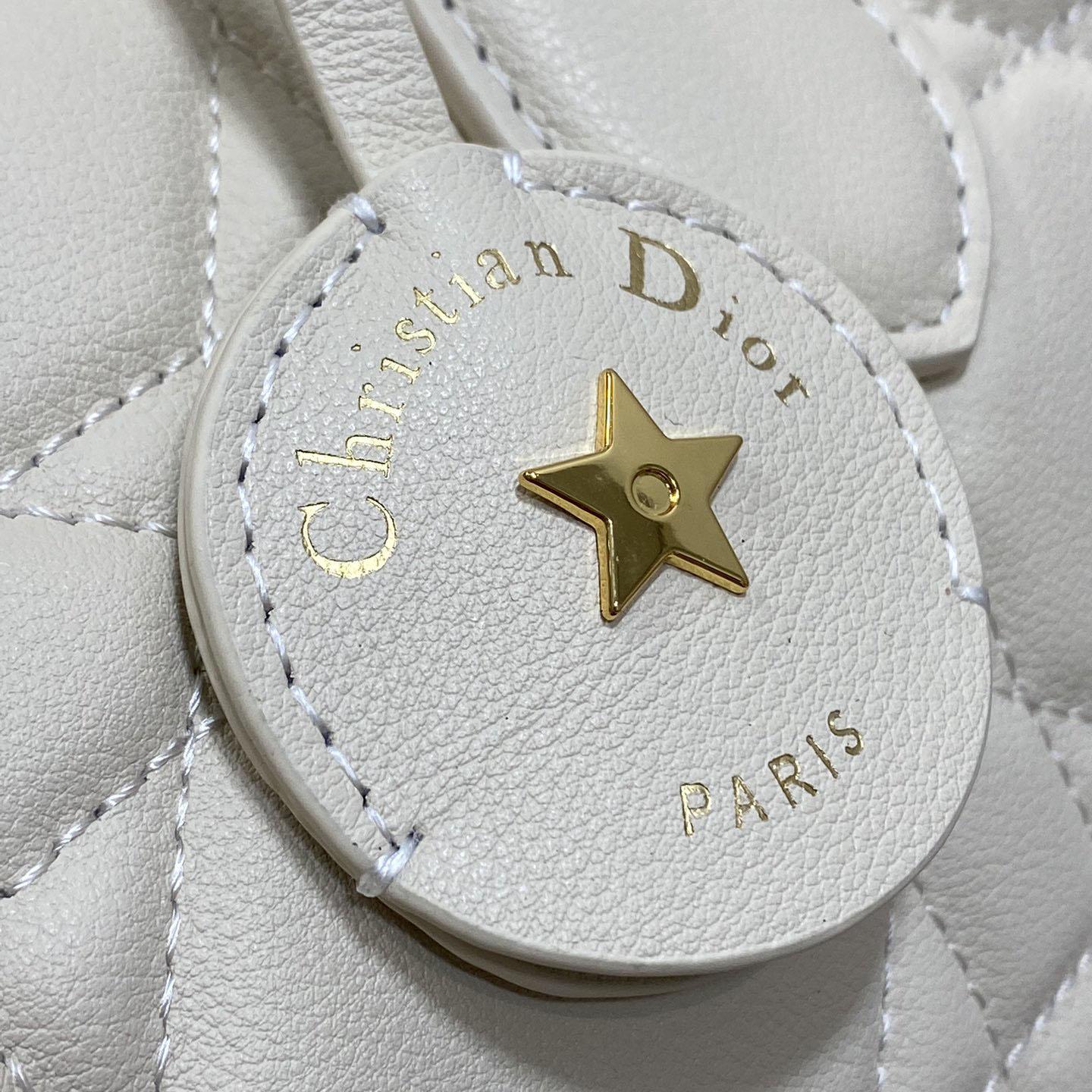 Dior Groove 20 Bag  - DesignerGu