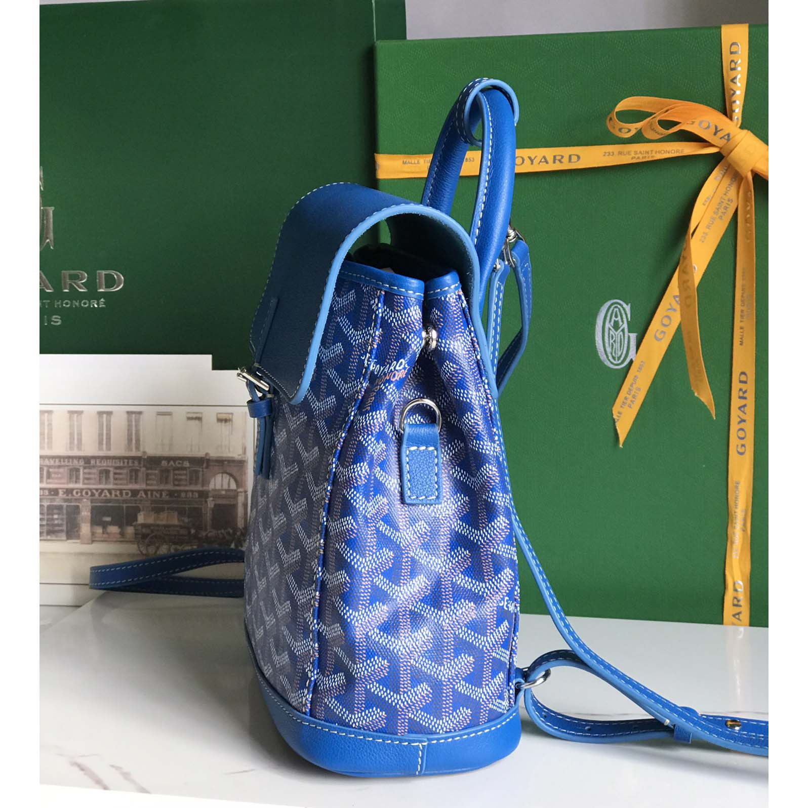 Goyard Alpin Mini Backpack - DesignerGu