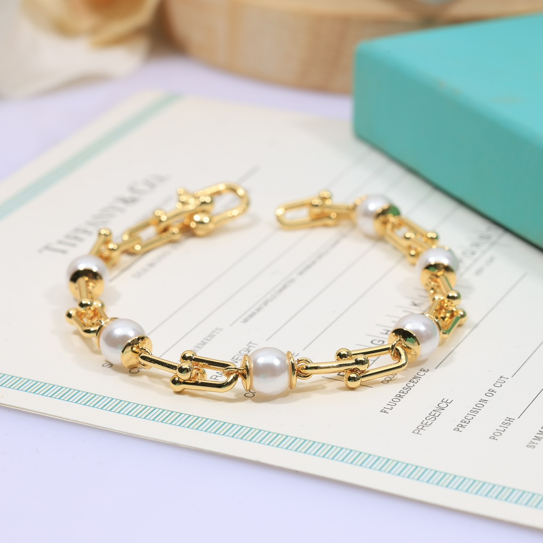 Tiffany & Co. Link Bracelet - DesignerGu