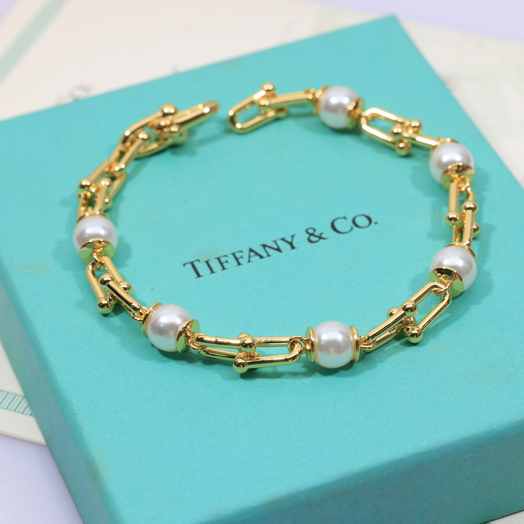 Tiffany & Co. Link Bracelet - DesignerGu