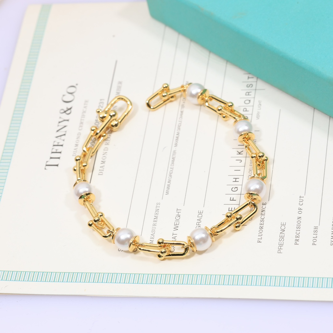 Tiffany & Co. Link Bracelet - DesignerGu