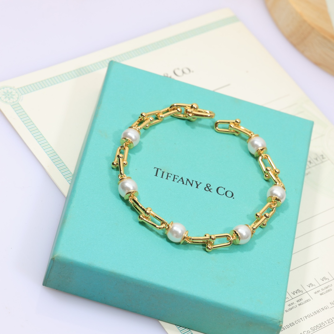 Tiffany & Co. Link Bracelet - DesignerGu