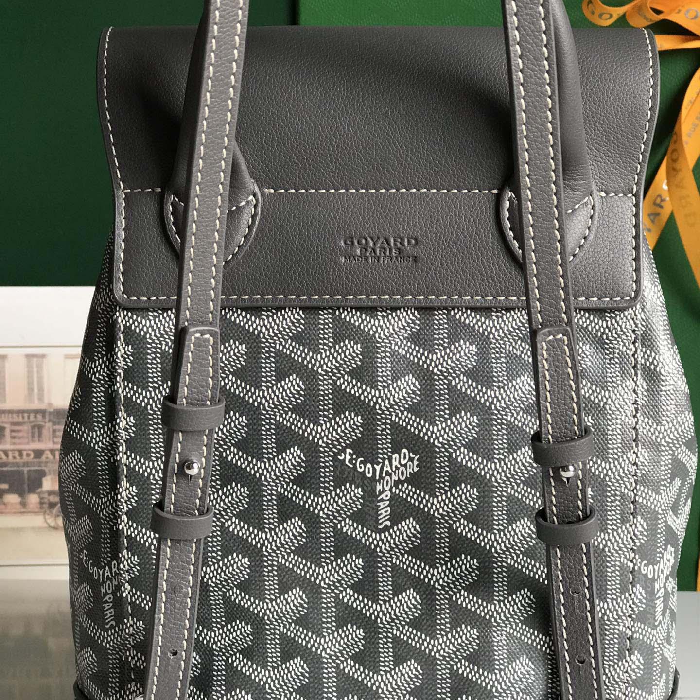 Goyard Alpin Mini Backpack - DesignerGu