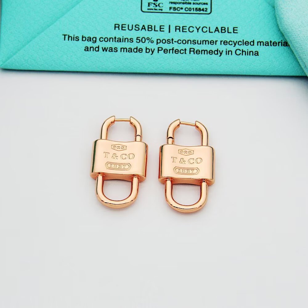 Tiffany & Co. Double Lock Drop Earrings - DesignerGu