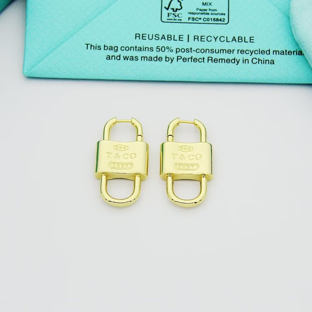 Tiffany & Co. Double Lock Drop Earrings - DesignerGu