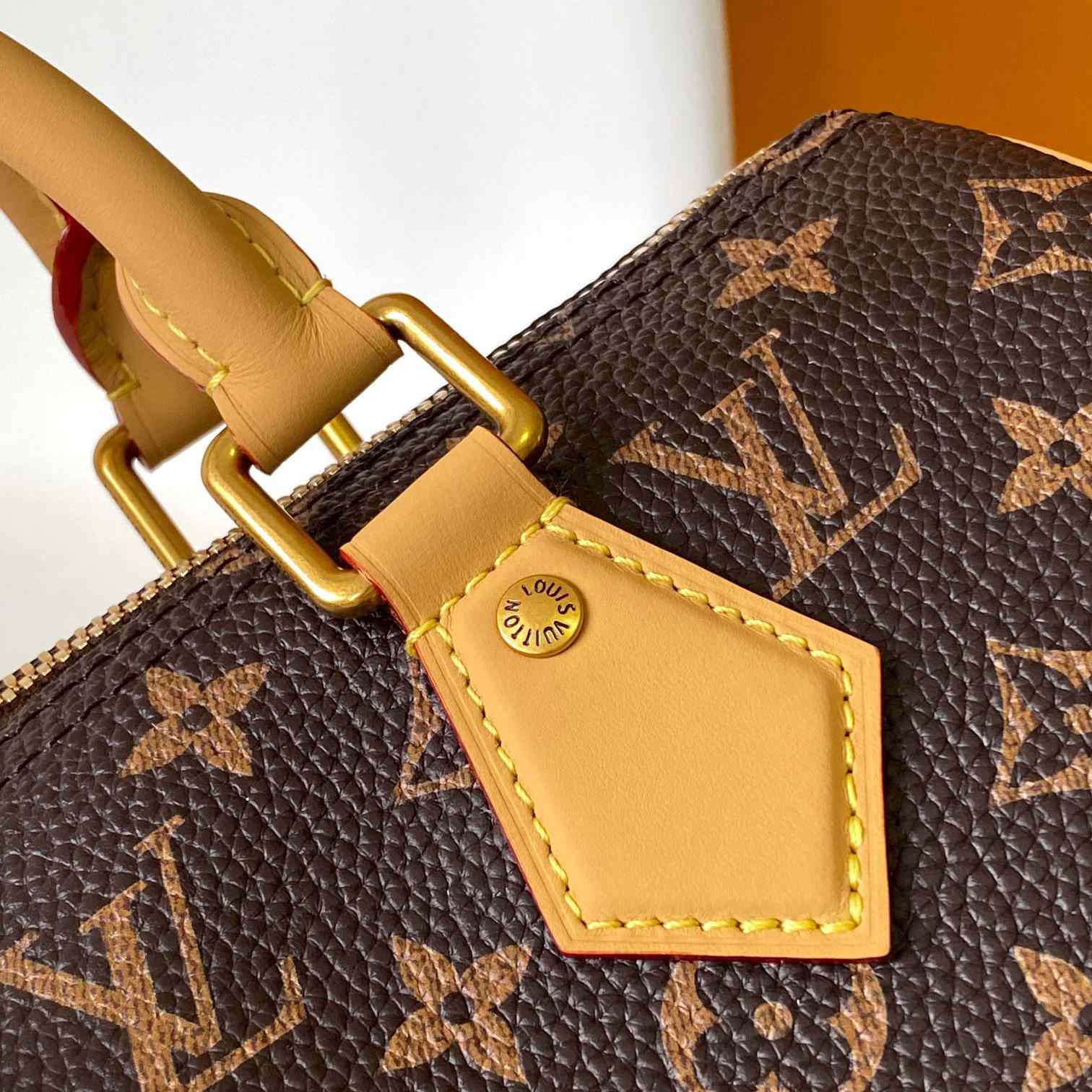 Louis Vuitton Speedy P9 Bandoulière 25   M24443 - DesignerGu