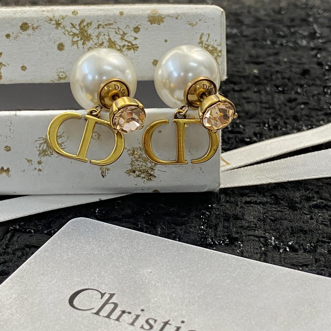 Dior Earrings - DesignerGu