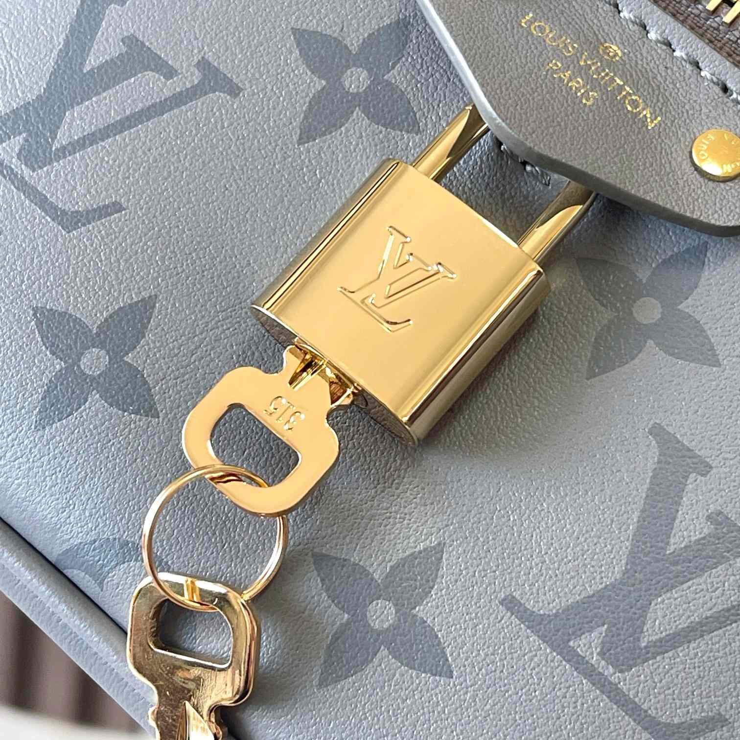 Louis Vuitton Vanity Chain Pouch    M12427 - DesignerGu