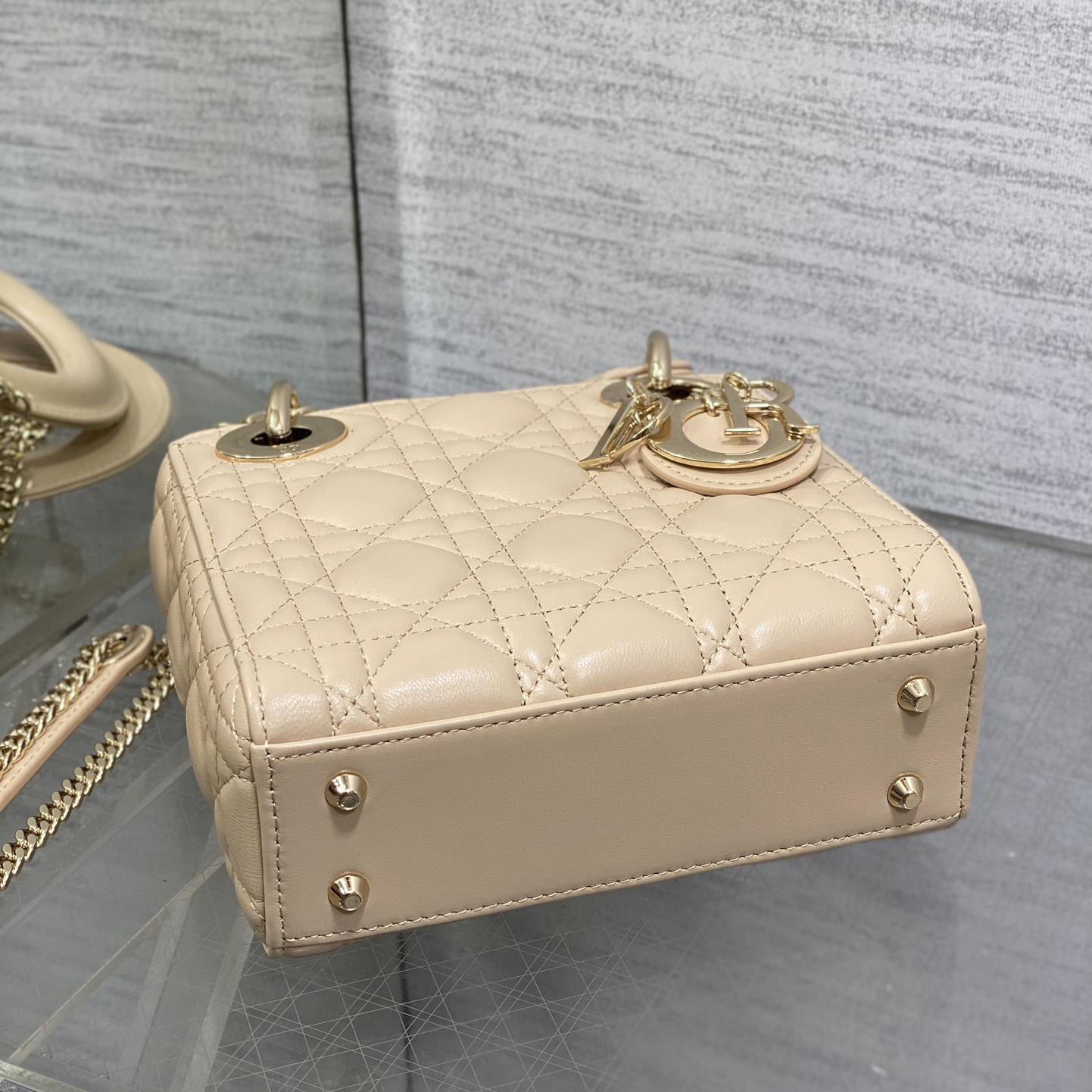 Dior Mini Lady Dior Bag     - DesignerGu